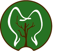 Miško odontologijos klinika Moliaris logo