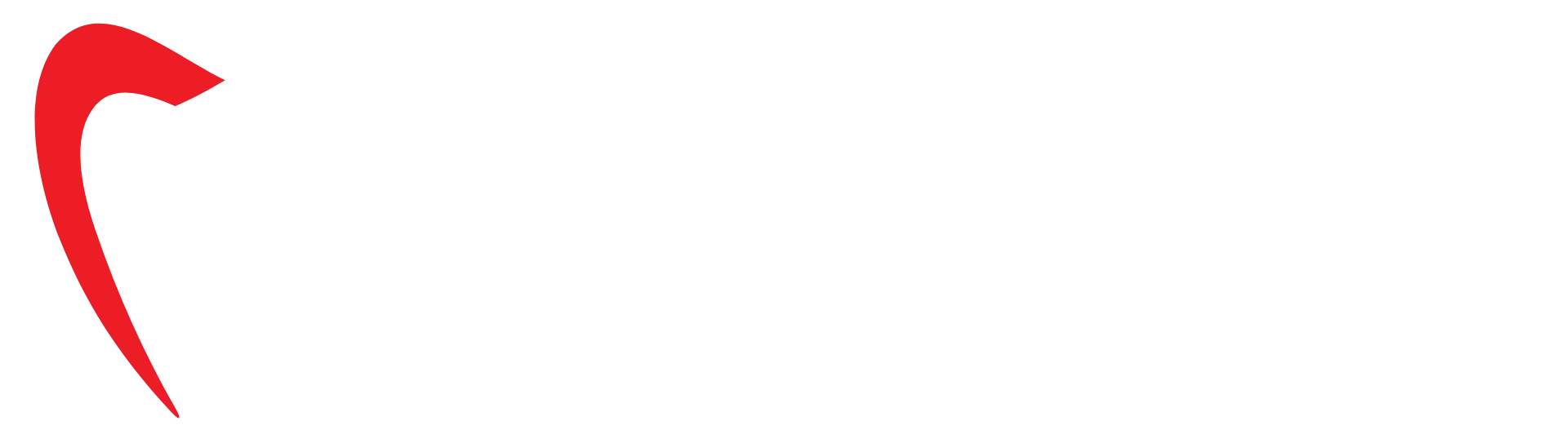 Vaidenta logo