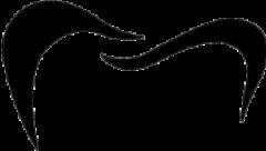 Aidentas logo