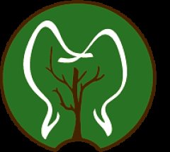 Miško odontologijos klinika Moliaris logo