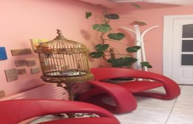 L. Lasionienės PĮ - odontologijos klinika Vilnius