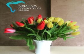 Nemuno odontologijos klinika - odontologijos klinika Panevėžys