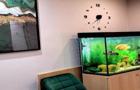Juvera - odontologijos klinika Kėdainiai
