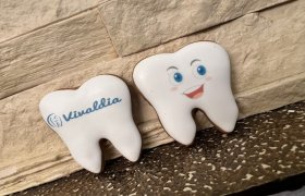 Vivaldia, odontologijos klinika - odontologijos klinika Šalčininkai