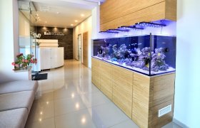 R. Gegužienės odontologijos klinika - odontologijos klinika Šiauliai