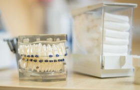 Lela - odontologijos klinika Klaipėda