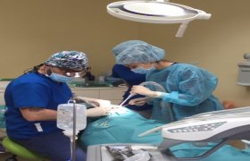 Dent-Art odontologijos klinika - odontologijos klinika Kaunas