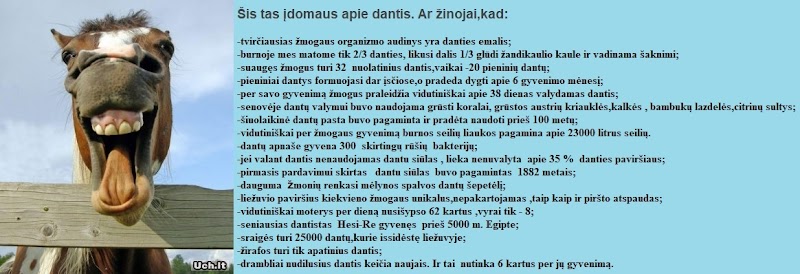 Mano miesto klinika - odontologijos klinika Vilnius